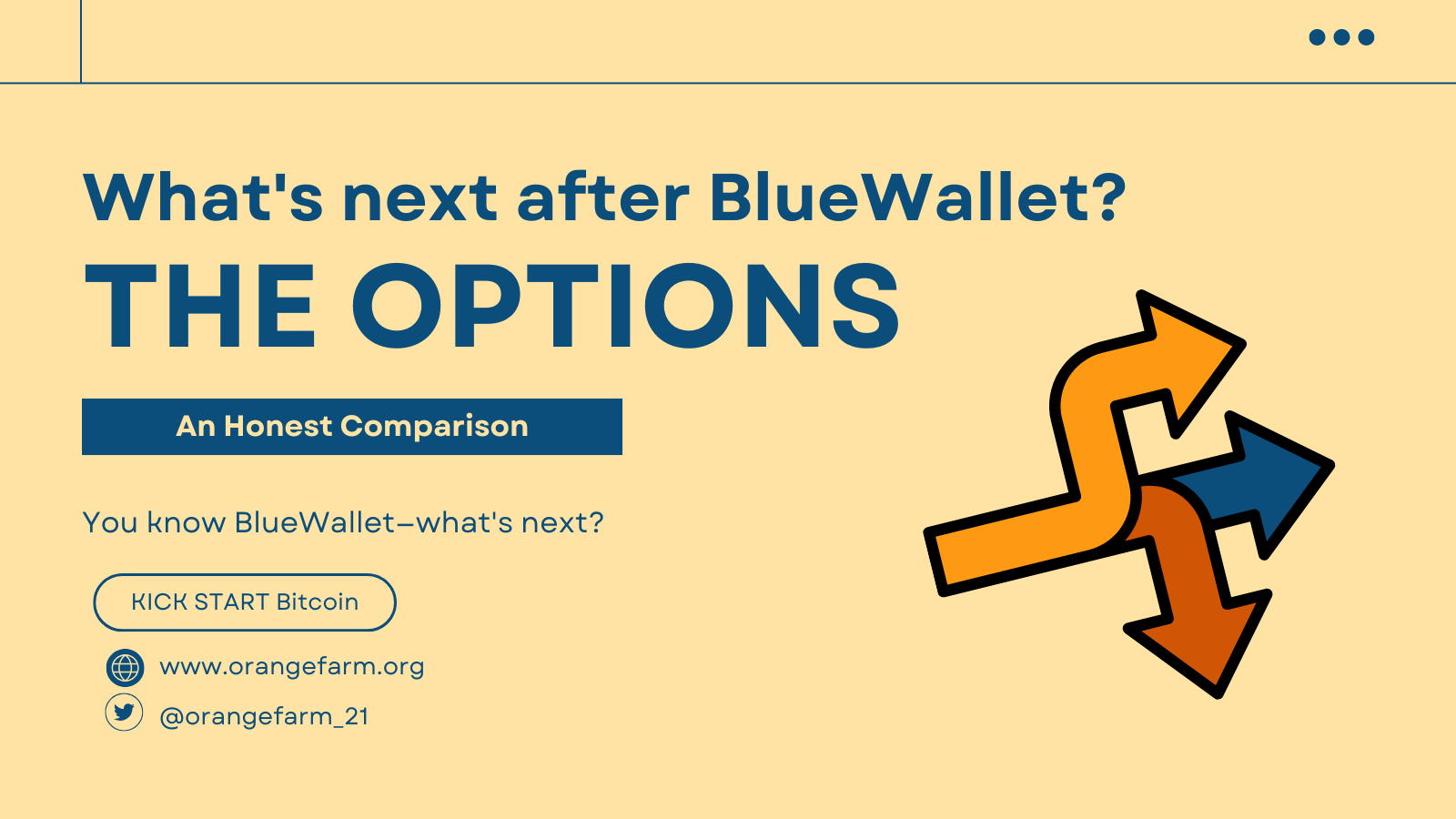 Whats Next After Bluewallet? The Options